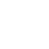 Brunswick Lion