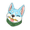 Shiba Inu blue