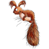 Droll Écureuil Faune