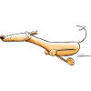 Brisk Greyhound I Dog