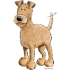 Irish Terrier Dog I Dog breed