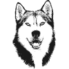 Husky