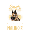Malinois Propriétaire de chien