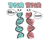 Biologiste scientifique en biologie