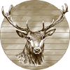 Cerf