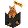 Mon CHAT