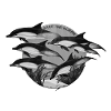 Save the Ocean - Dolphins black/white