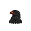 Nordhausen Germania - T-shirt per il Nordhausener