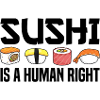 Sushi lovers