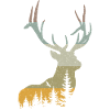 Cerf