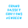 Grand Basset Griffon Vendeen