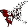 Butterfly swarm