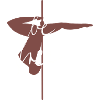 Pole Dance être libre