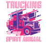 LKW Fahrerin