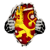 Finland lion under shirt