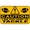 american football tackle quarterback endzone