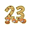 Birthday 23