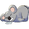 koala dormeur