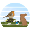 Robin Bird Rabbit Easter Spring