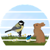 Great Bird Rabbit Easter Spring
