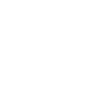Evolution Automotive Mechanic