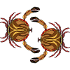 Crabs