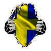 Sweden under the shirt