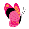 Pink butterfly