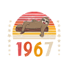 Chiller Seit 1967 Faultier