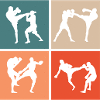 kickboxing kickboxeur