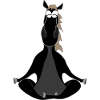 Yoga du cheval