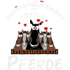 Pferdespruch