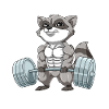 Waschbär Gewichtheben Fitness-Studio