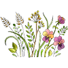 Fleur