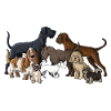 Hunde