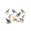 Vogel Nerd Vogelarten Artwork
