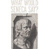 Seneca Stoic Stoicism WHAT WOULD SENECA SAY?