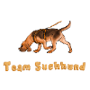 Team Suchhund
