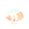 Pilgern
