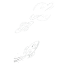 Space Collection