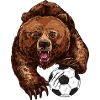 Bär mit Fußball