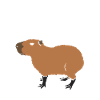 Capybara