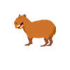 Capybara