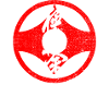 Kyokushin Karate Kampsport Japan Vintage