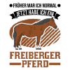 Freiberger Pferd Reiterin