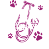 Future veterinarian, veterinarian