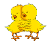Chick lover farmer children