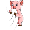 Pigs