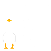 canard, foie gras, sud ouest