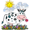 Vache